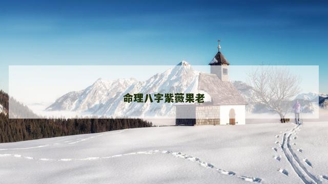 命理八字紫薇果老