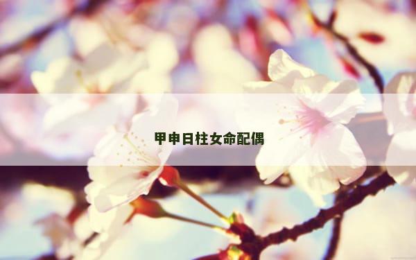甲申日柱女命配偶