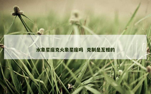 水象星座克火象星座吗  克制是互相的