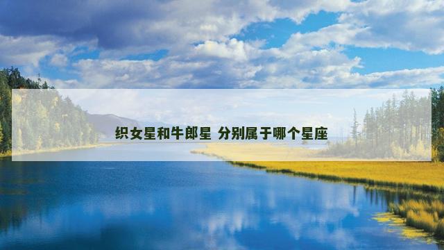 织女星和牛郎星 分别属于哪个星座