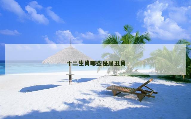 十二生肖哪些是属丑肖
