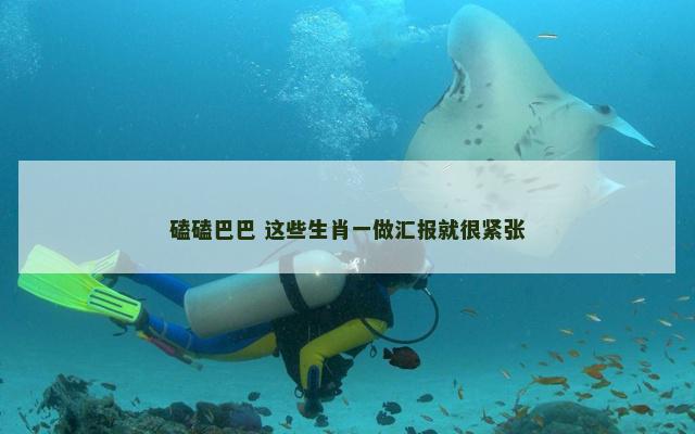 磕磕巴巴 这些生肖一做汇报就很紧张