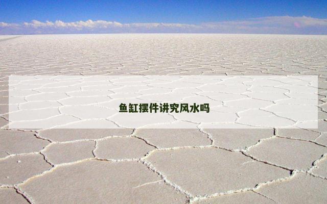鱼缸摆件讲究风水吗
