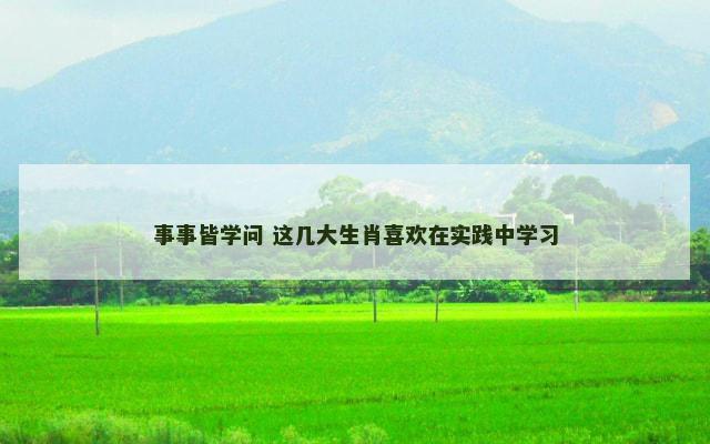 事事皆学问 这几大生肖喜欢在实践中学习