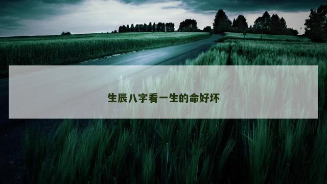 生辰八字看一生的命好坏