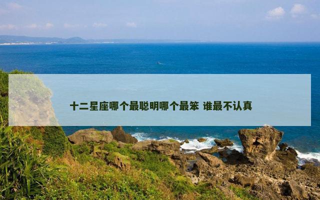 十二星座哪个最聪明哪个最笨 谁最不认真