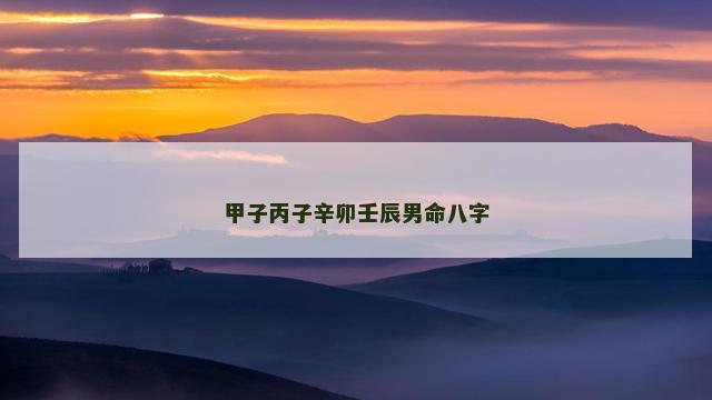 甲子丙子辛卯壬辰男命八字