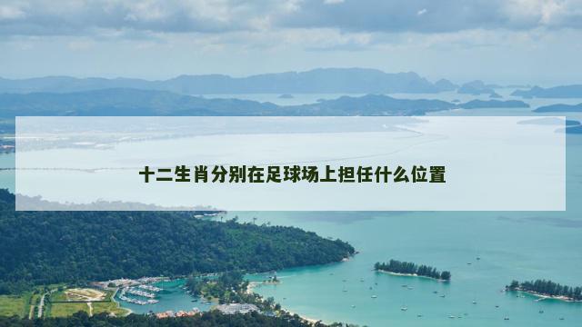 十二生肖分别在足球场上担任什么位置