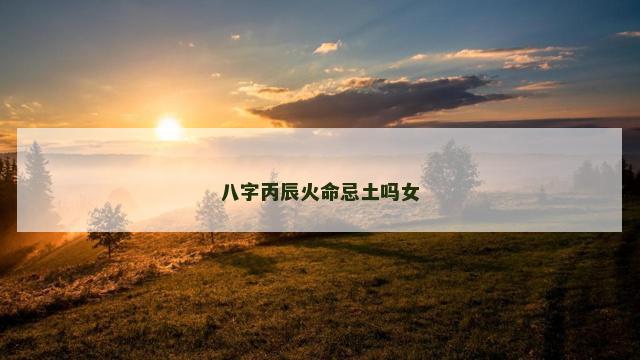 八字丙辰火命忌土吗女