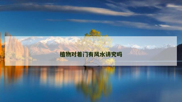 植物对着门有风水讲究吗