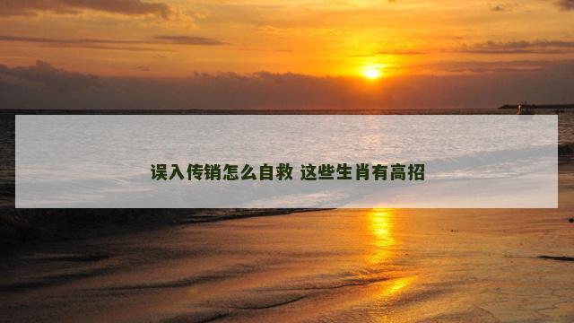 误入传销怎么自救 这些生肖有高招