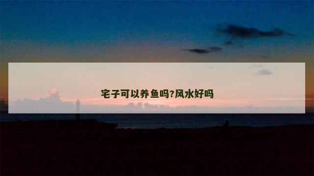 宅子可以养鱼吗?风水好吗
