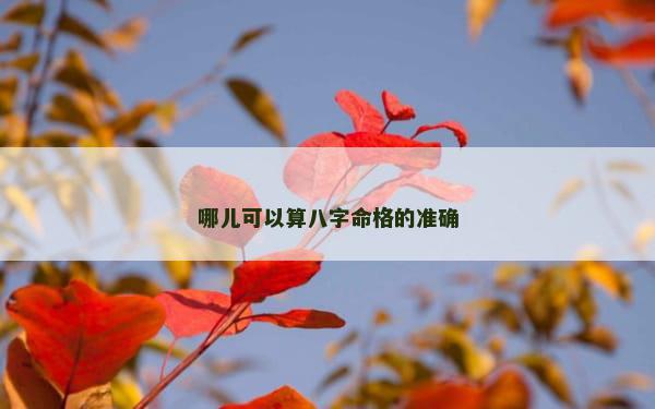 哪儿可以算八字命格的准确