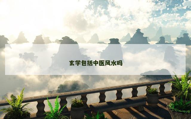 玄学包括中医风水吗