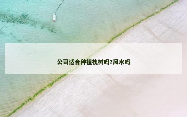 公司适合种植槐树吗?风水吗