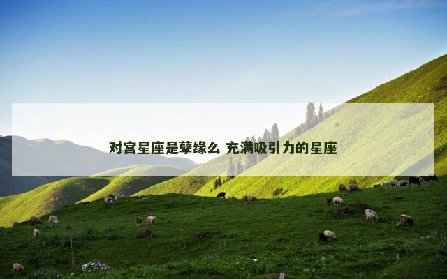 对宫星座是孽缘么 充满吸引力的星座
