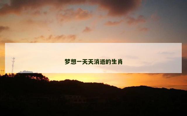 梦想一天天消逝的生肖