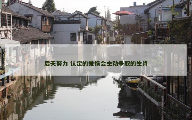 后天努力 认定的爱情会主动争取的生肖