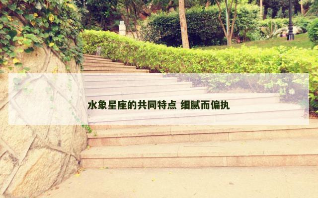 水象星座的共同特点 细腻而偏执
