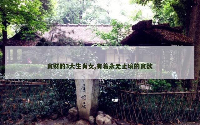 贪财的3大生肖女,有着永无止境的贪欲