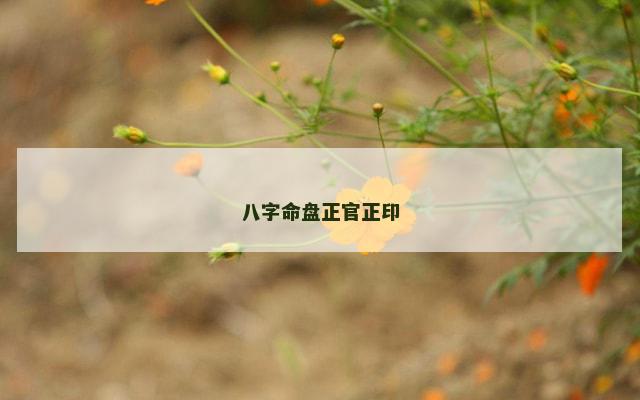 八字命盘正官正印