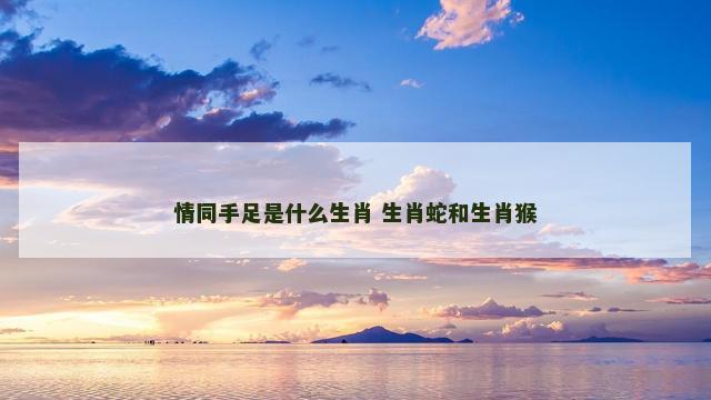 情同手足是什么生肖 生肖蛇和生肖猴