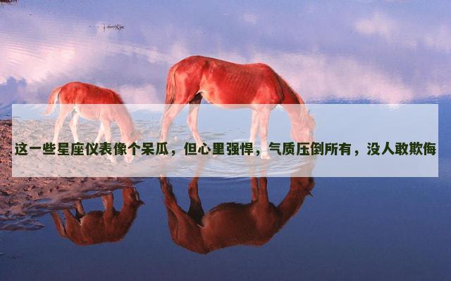 这一些星座仪表像个呆瓜，但心里强悍，气质压倒所有，没人敢欺侮