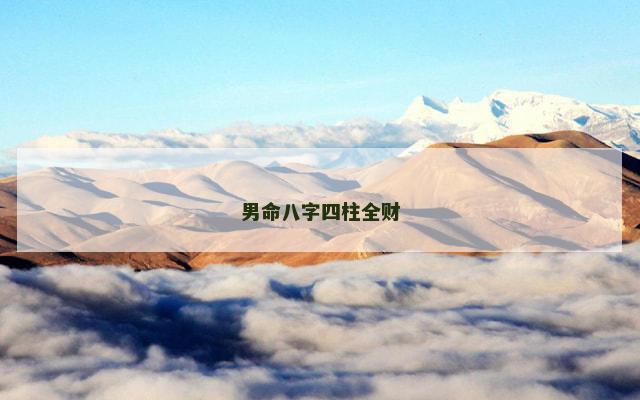 男命八字四柱全财