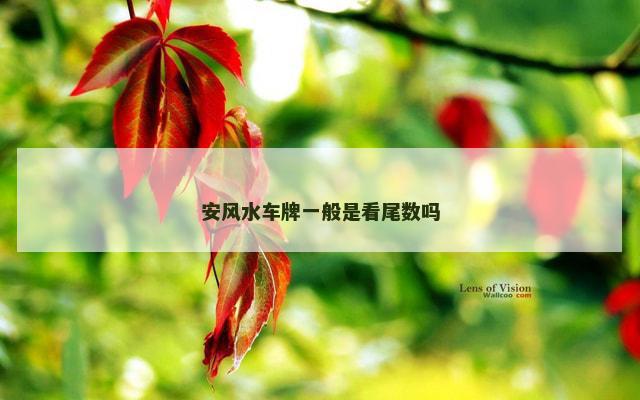 安风水车牌一般是看尾数吗