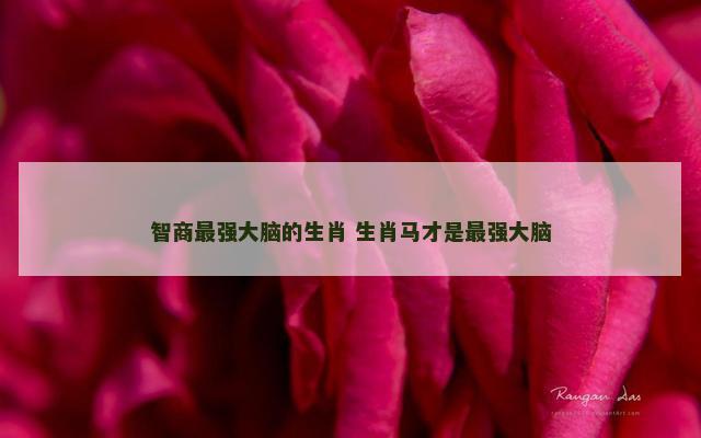 智商最强大脑的生肖 生肖马才是最强大脑