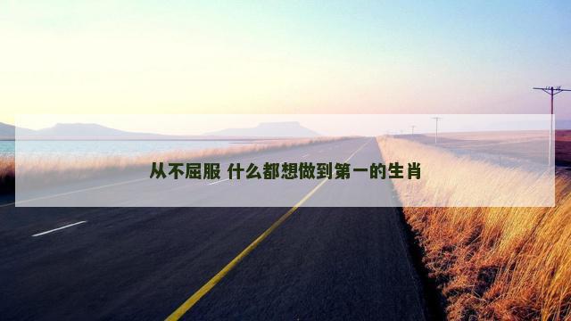 从不屈服 什么都想做到第一的生肖