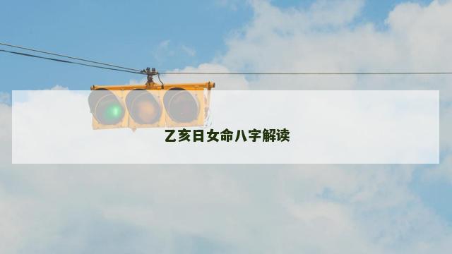 乙亥日女命八字解读