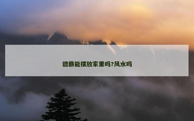貔貅能摆放家里吗?风水吗
