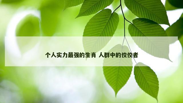 个人实力最强的生肖 人群中的佼佼者