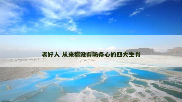 老好人 从来都没有防备心的四大生肖