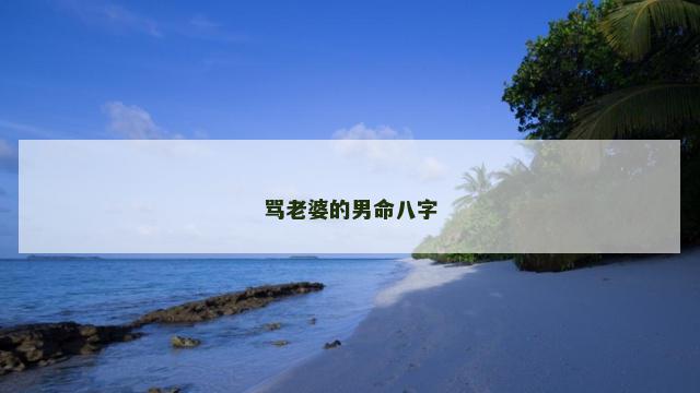 骂老婆的男命八字