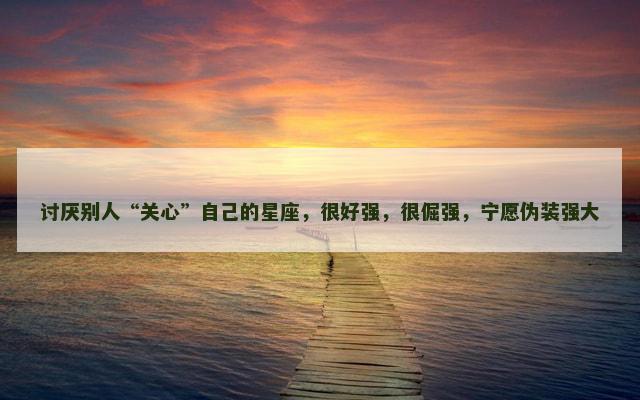 讨厌别人“关心”自己的星座，很好强，很倔强，宁愿伪装强大