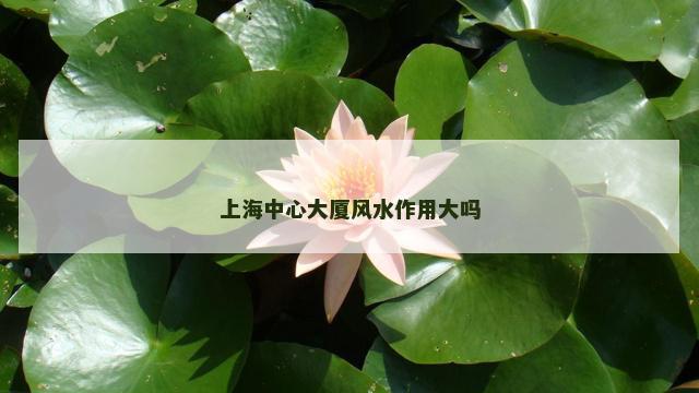 上海中心大厦风水作用大吗