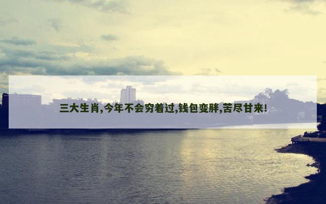 三大生肖,今年不会穷着过,钱包变胖,苦尽甘来！