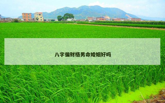 八字偏财格男命婚姻好吗