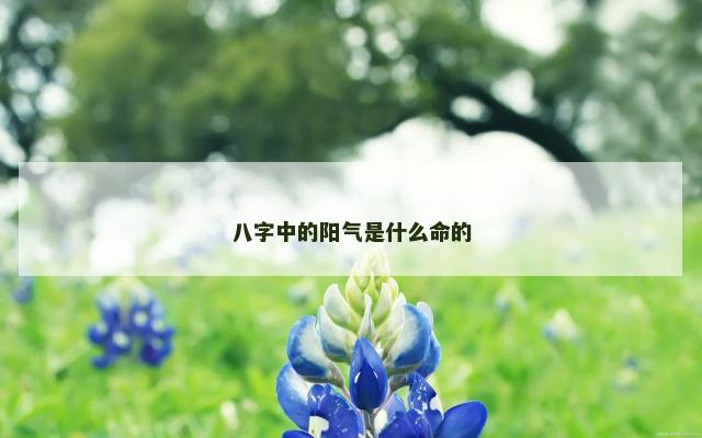 八字中的阳气是什么命的