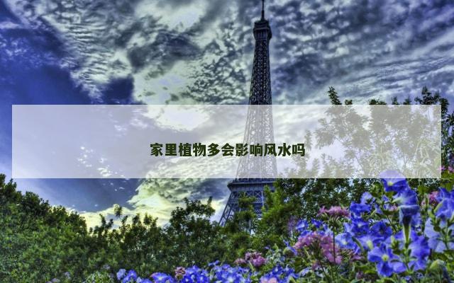 家里植物多会影响风水吗
