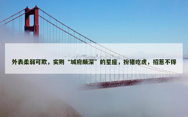 外表柔弱可欺，实则“城府颇深”的星座，扮猪吃虎，招惹不得