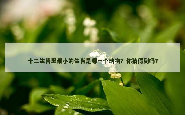 十二生肖里最小的生肖是哪一个动物？你猜得到吗？