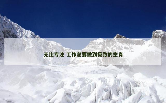 无比专注 工作总要做到极致的生肖