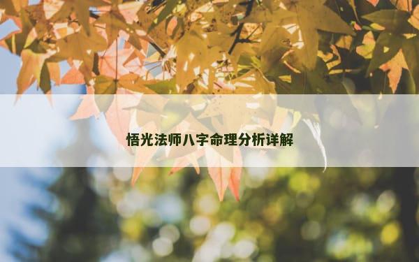 悟光法师八字命理分析详解