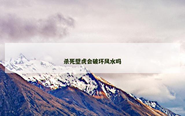 杀死壁虎会破坏风水吗