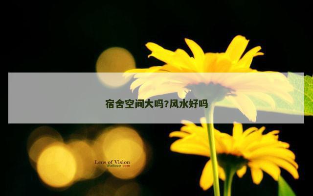 宿舍空间大吗?风水好吗