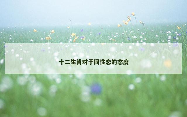 十二生肖对于同性恋的态度