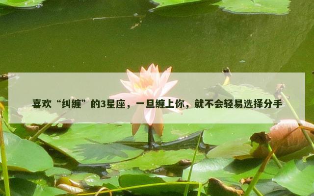 喜欢“纠缠”的3星座，一旦缠上你，就不会轻易选择分手